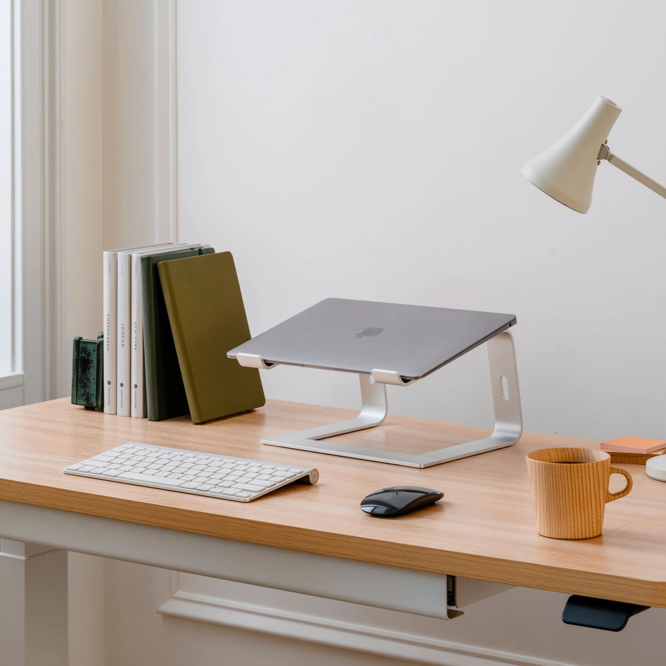 Monitor & Laptop Stands